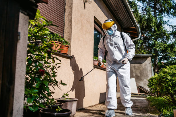 Pest Control for Restaurants in San Diego Country Estates, CA