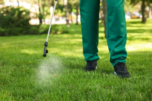 Best Commercial Pest Control Services  in San Diego Country Estates, CA
