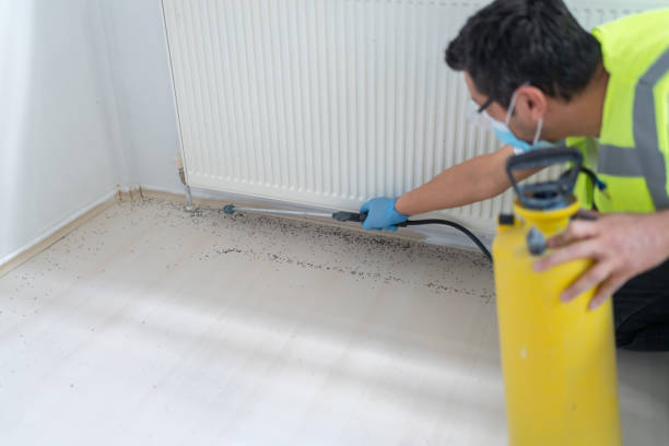 Best Affordable Pest Control Services  in San Diego Country Estates, CA