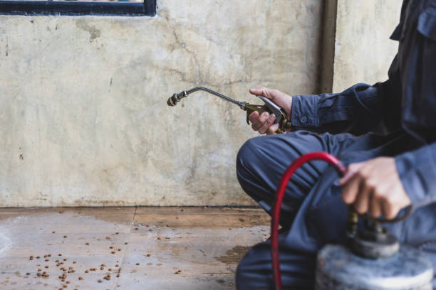 Best Best Pest Control Companies  in San Diego Country Estates, CA